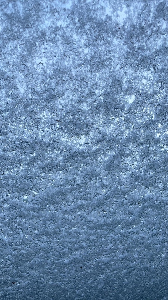Eine große Fenster Scheibe voll bedeckt mit frischem Schnee von gestern Nacht